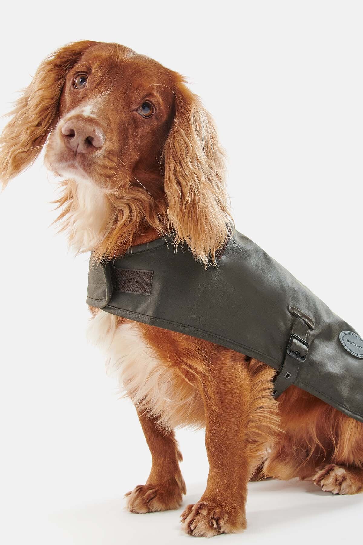 Wax dog coat